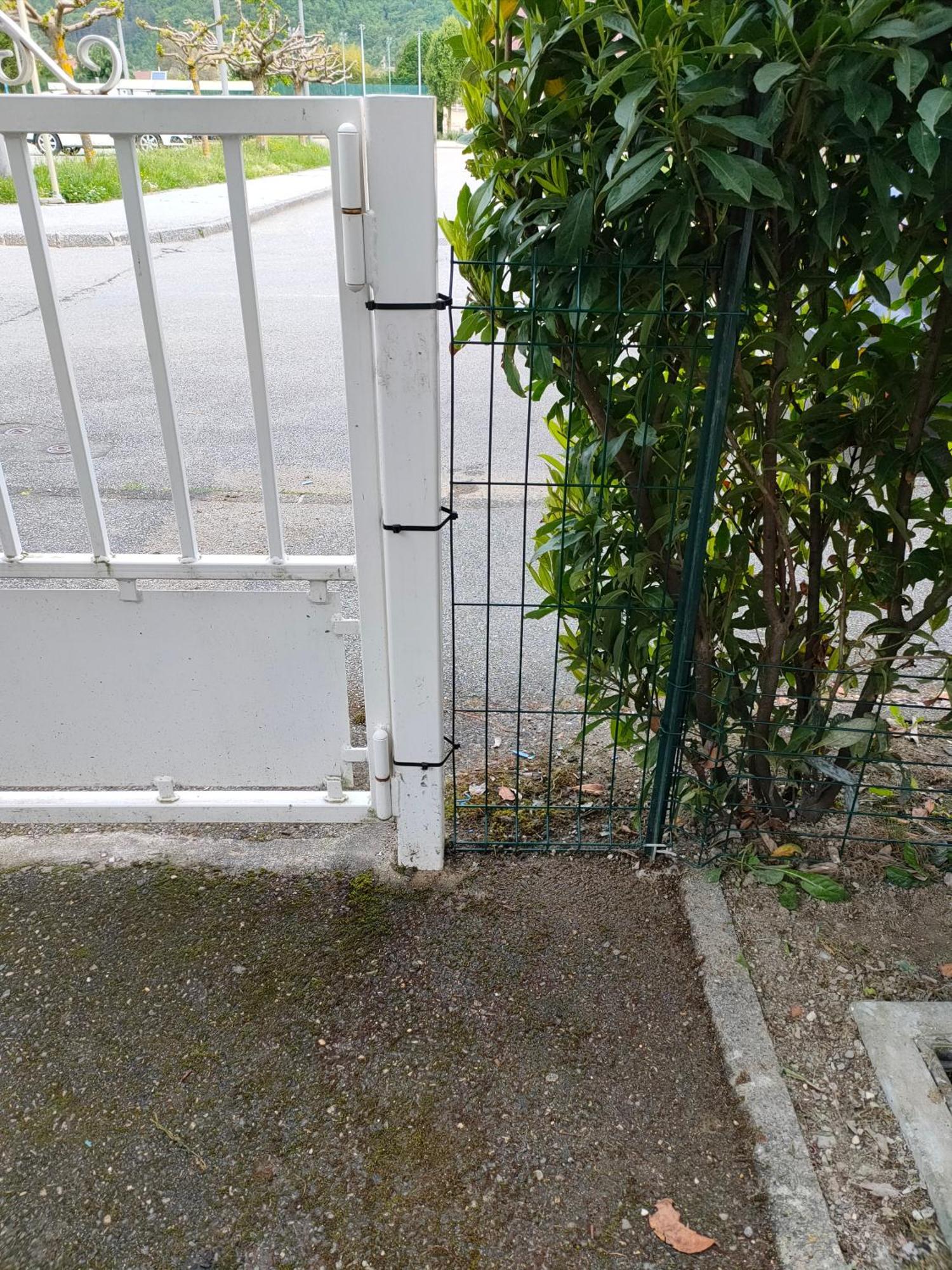 Le Nid Savoyard Lägenhet Faverges Exteriör bild