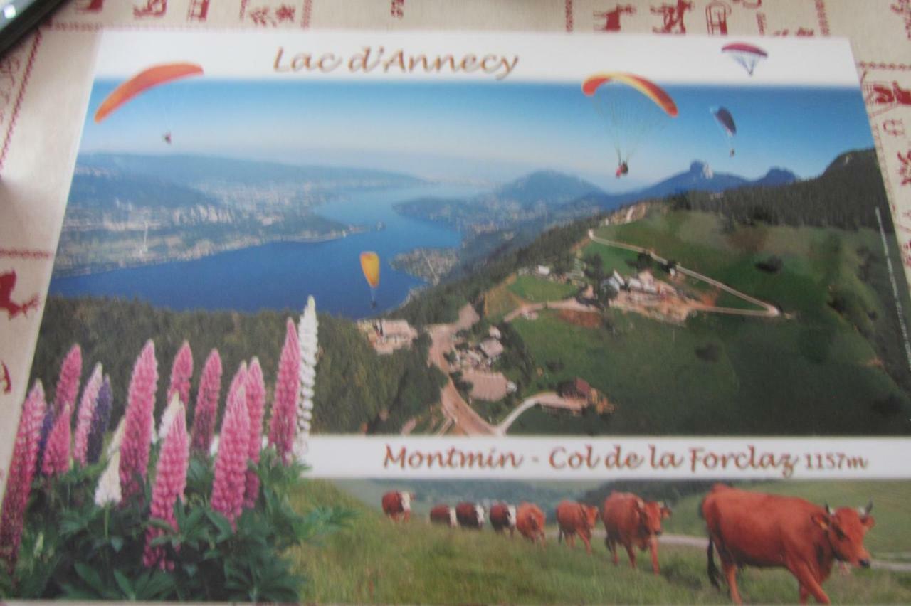 Le Nid Savoyard Lägenhet Faverges Exteriör bild